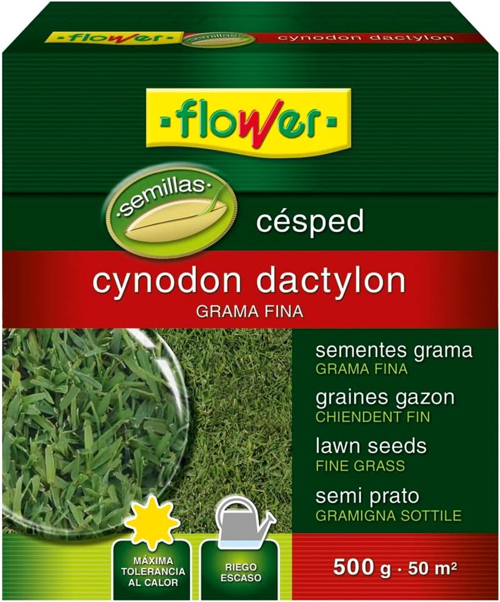 SnelShoppen - SEMILLA CYNODON DACTILON Graszaad voor Gazons, Warmtebestendig, Fijn Gram, Geschikt voor 50 m², 500g voor Tuin en Buitenleven