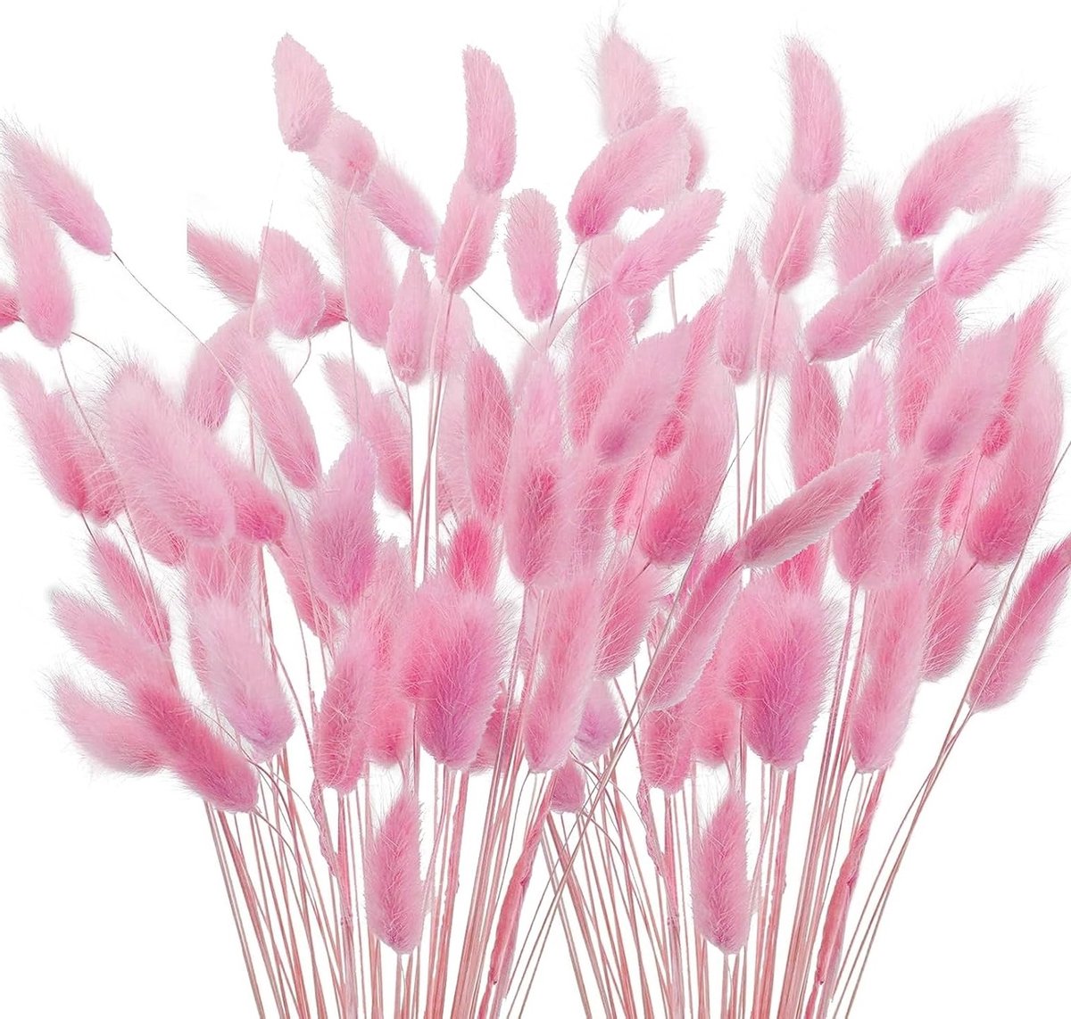 Dried Flowers Pampasgras 40cm - Roze Decoratieve Planten voor Bruiloft, Thuis en Feestvazen