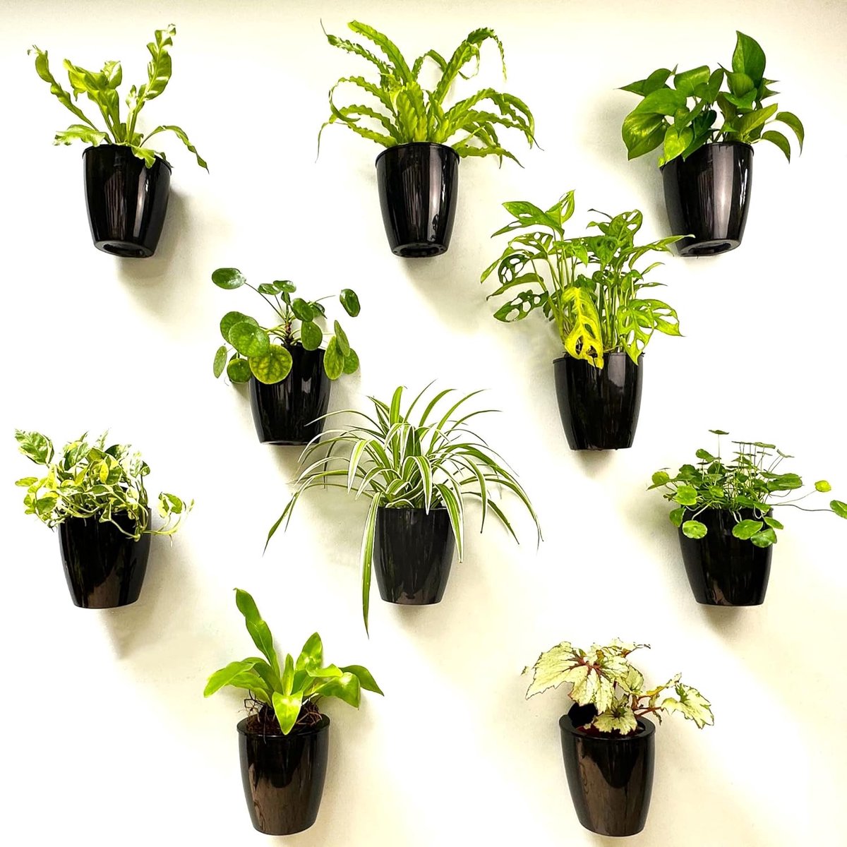 SnelShoppen - 10x Zwarte Wandplantenbakken - 10 Inch Zelfwaterende Muurplantensysteem - Eco Vriendelijk Wandmontage Plantenhouders - Trendy Woondecora