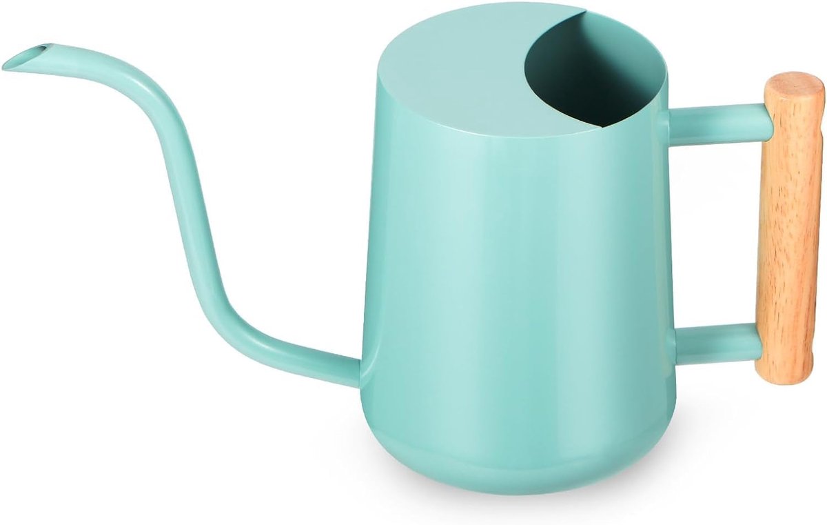 SnelShoppen - Waterkan Binnenplanten 1L Metaal Watering Can voor Binnen, Roestvrij Staal, Modern Decoratief met Lange Tuit voor Huisplanten, Bonsai, T