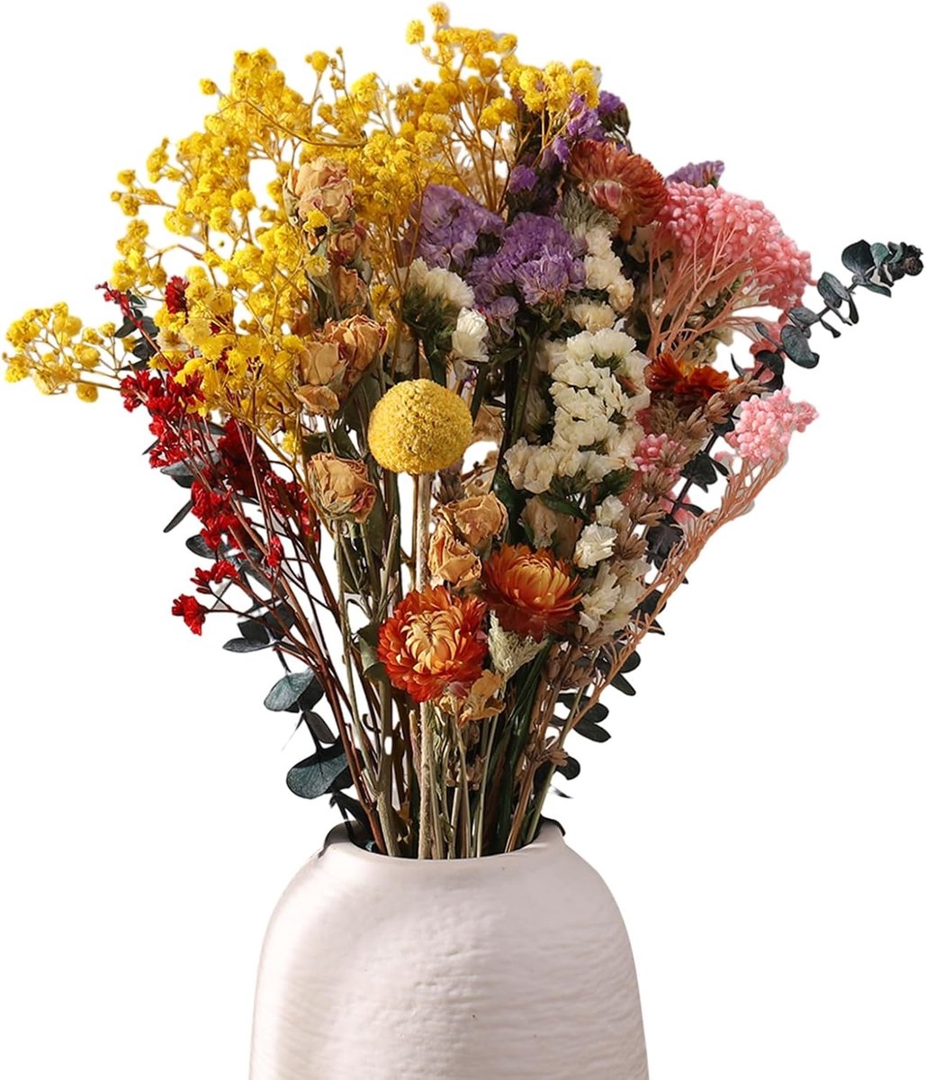 SnelShoppen - 30 Bouquets Gedroogde Bloemen - 11 Soorten Natuurlijke Bloemen voor Vaas, DIY Decoratie, Tafelversiering, Cadeau, Kunst, Home Decor