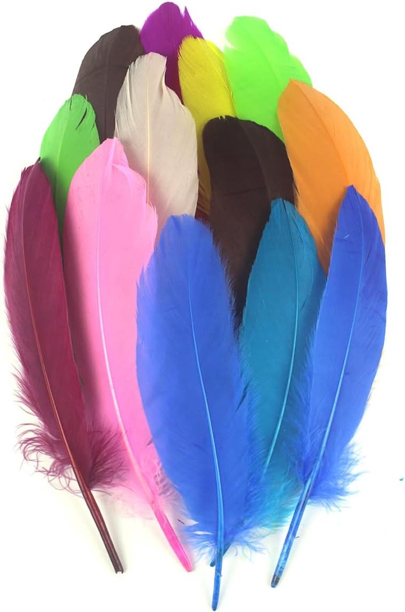 Veren Natuurlijke Ganzenveren voor DIY Bruiloft Decoraties Angel Wings & Fairy Crafts
