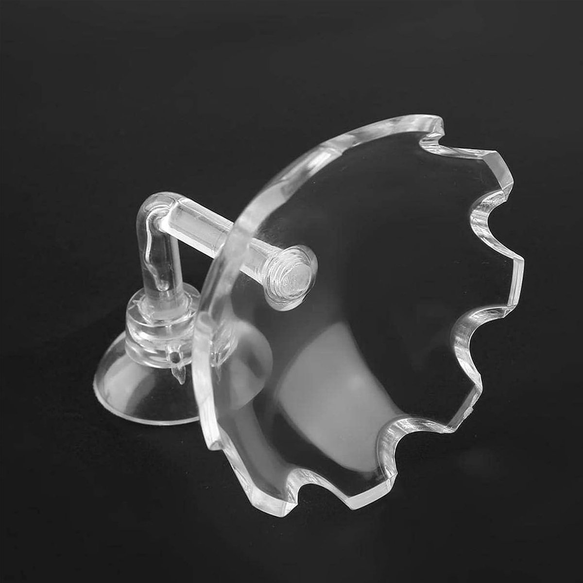 Shrimp Feeder and Suction Cup Bowl for Shrimp, Acrylic Transparent Feeder, Suitable for Small Water Animals - ShopVlot