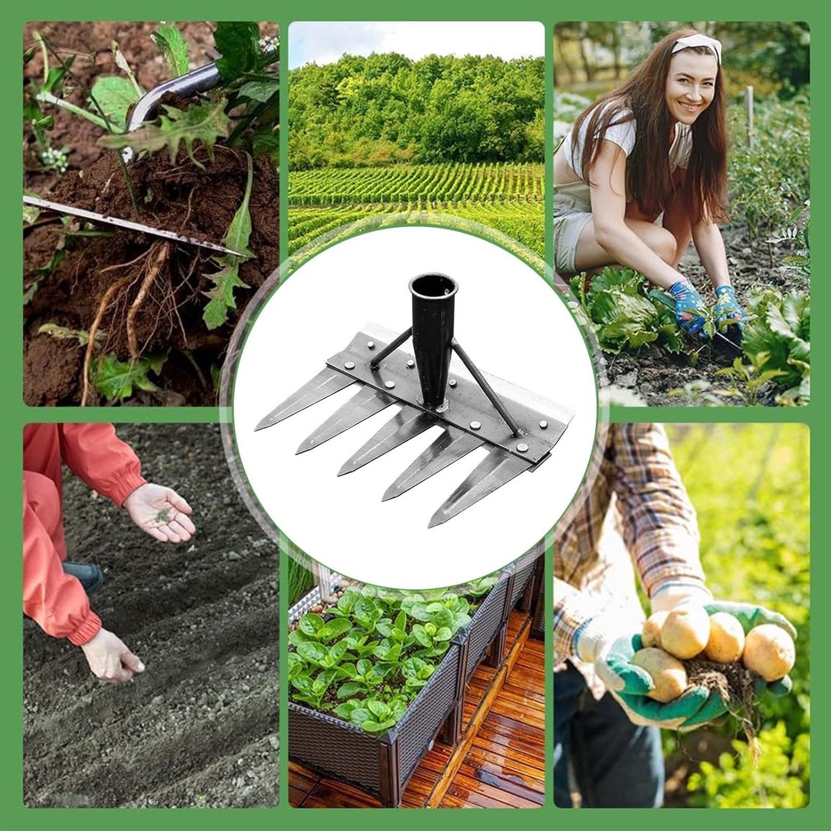 Tuinhark - Grasverwijderaar Onkruidkrabber - Gazononderhoud - Dubbelzijdige kop - 5 tanden - Niet gespecificeerd