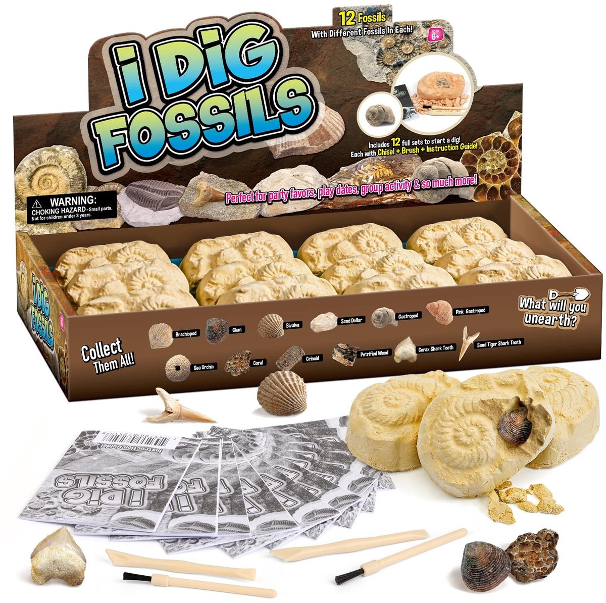 Omgoods- Fossielen Opgravingsset - 12 Echte Fossielen - Archeologie Speelgoed - Opgravingsset voor Kinderen - Feestcadeaus - Inclusief Penselen/Beitels - Opgravingskit