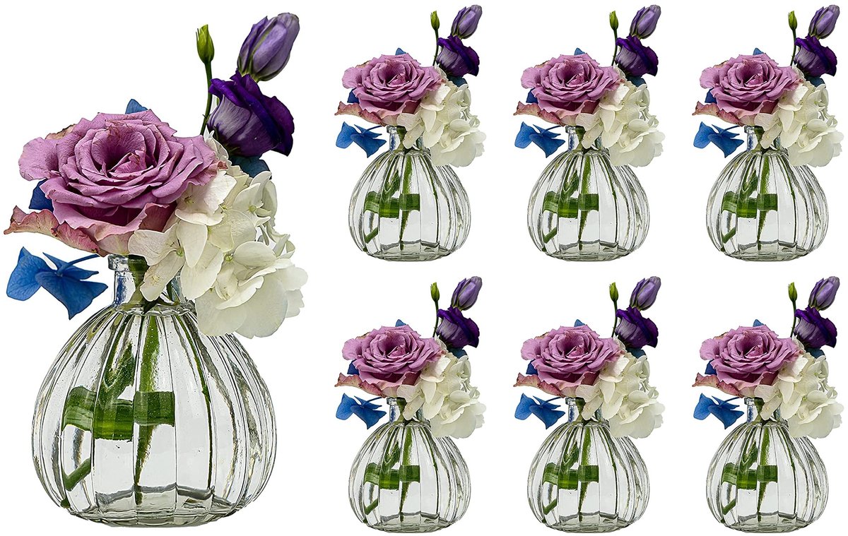 Omgoods - Set van 6 Mini Glazen Vazen voor Decoratie