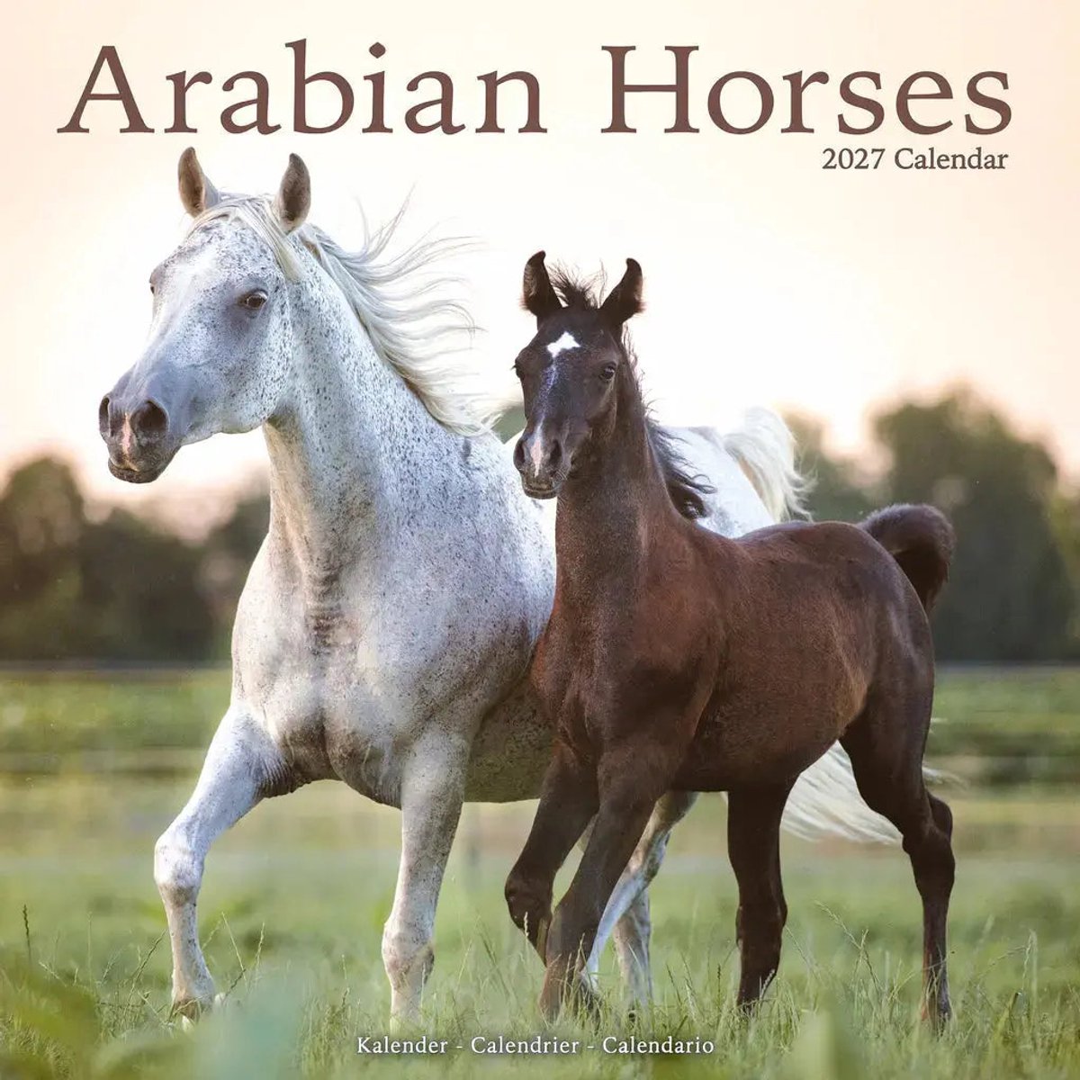 Arabier Kalender 2027