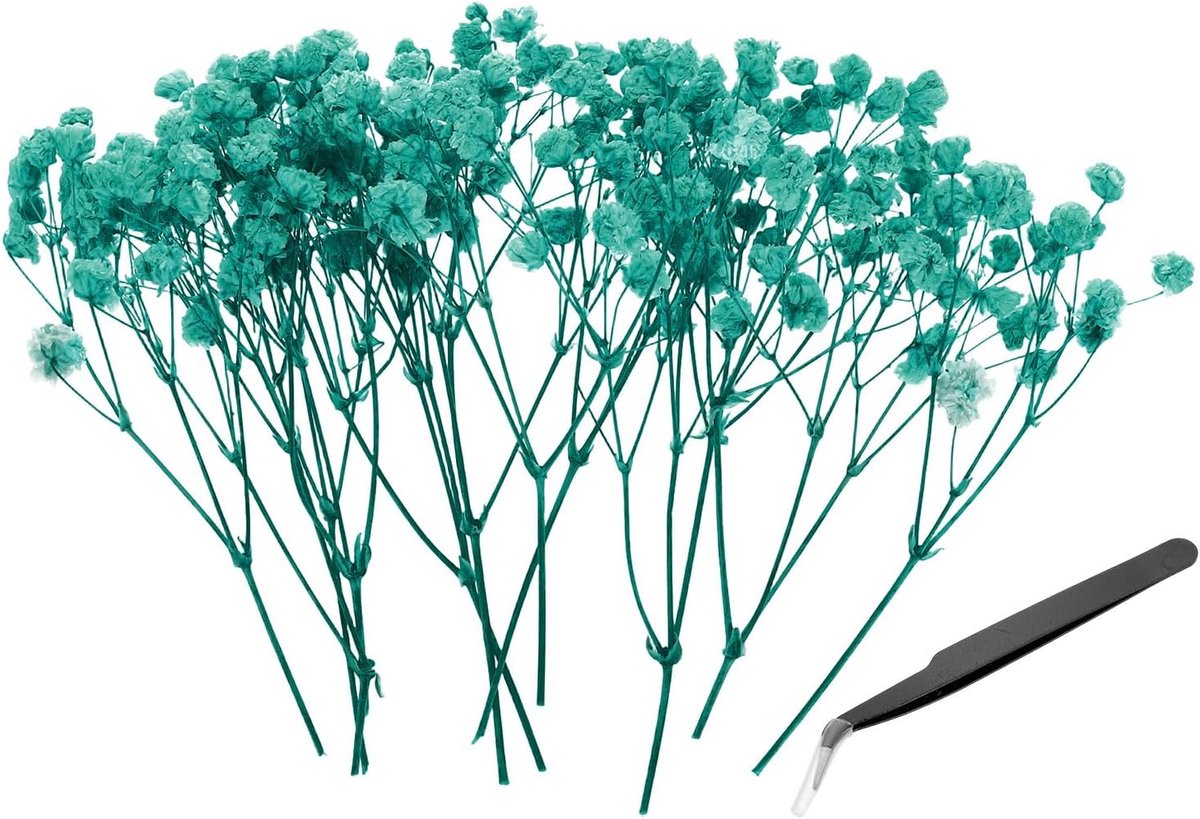 Gedroogde Gypsophila Flower Kit, 30 stuks 10 cm lichtblauw natuurlijke geperste bloemen bundels met pincet voor doe-het-zelf hars ambachten cadeau bruiloft kerstkaart decor bloemboeketten