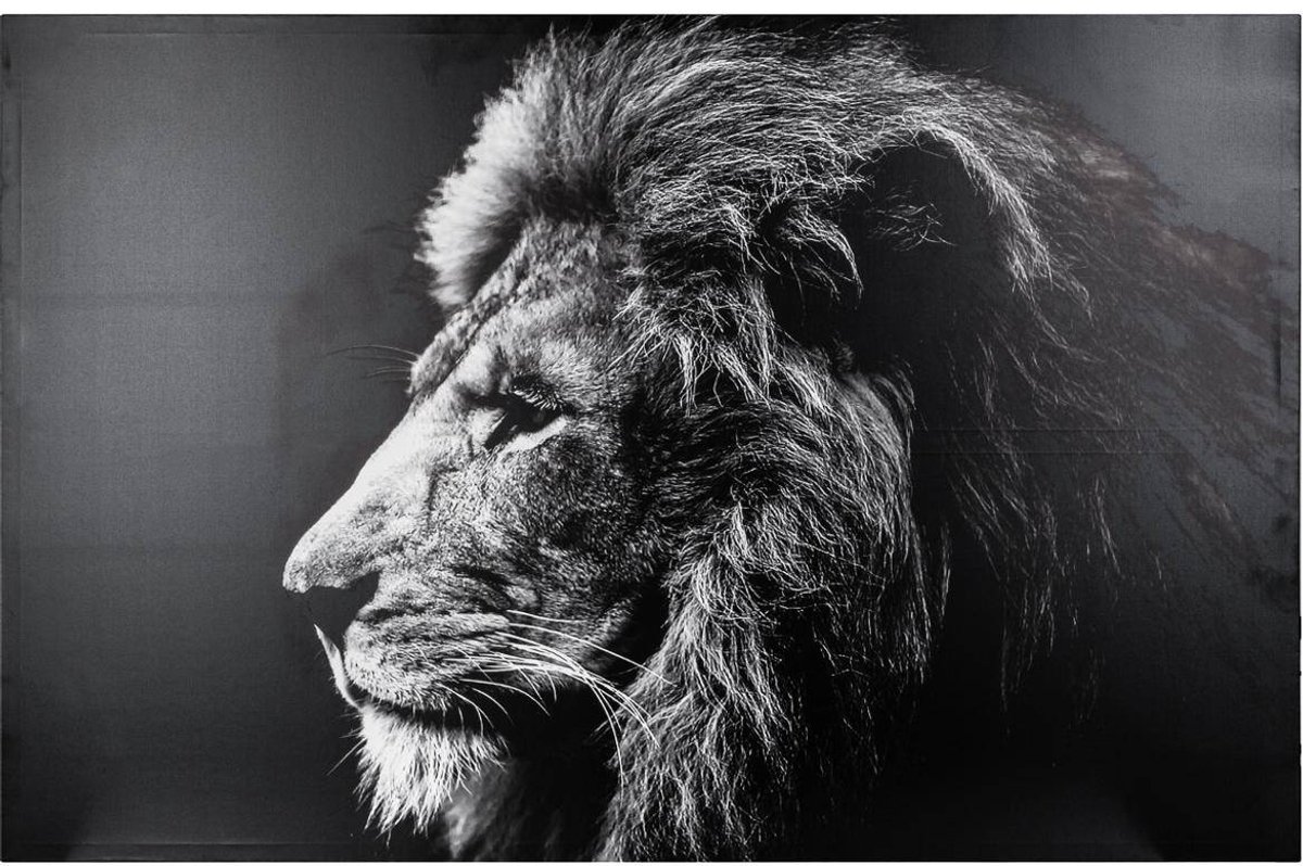 Doek met leeuwenportretprint ANIMAUX