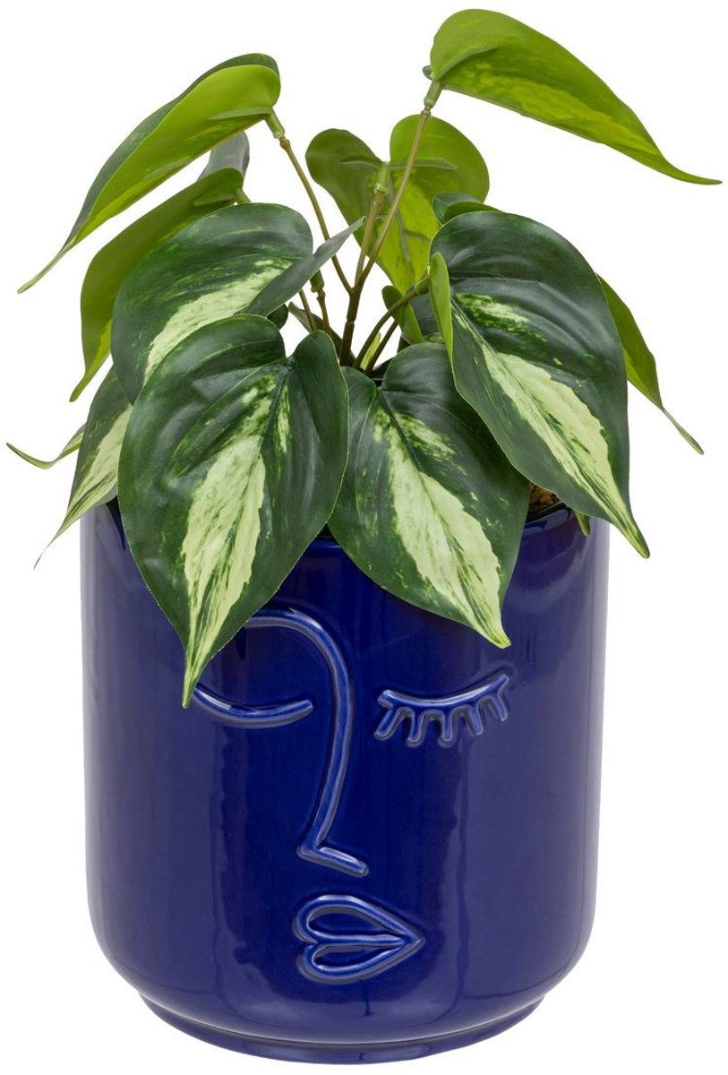 Kunstplant SOLEYA
