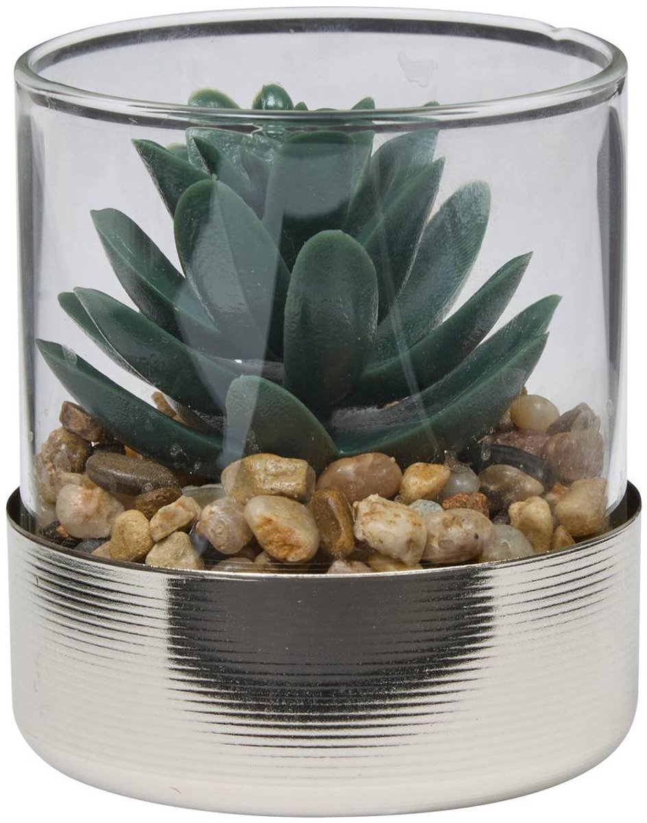 Terrarium SKY