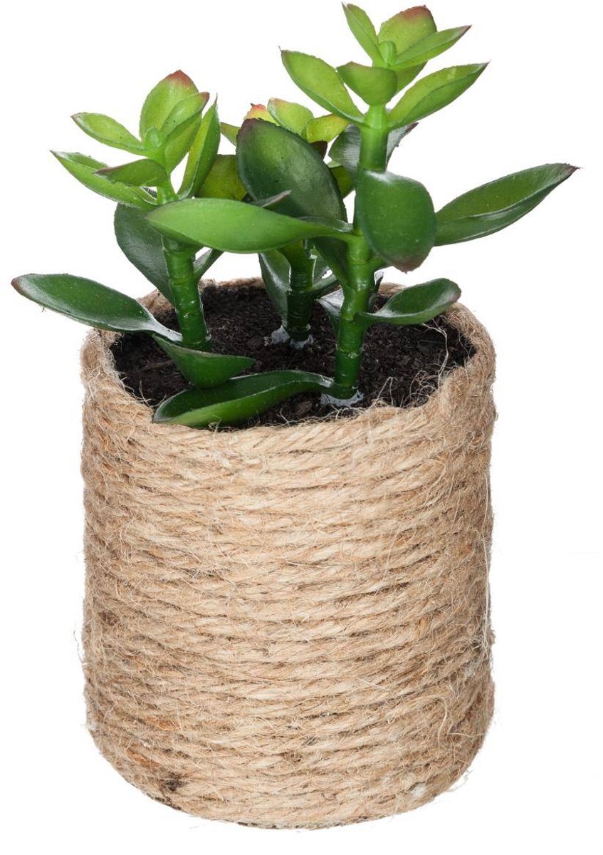 Kunstplant ETNIK