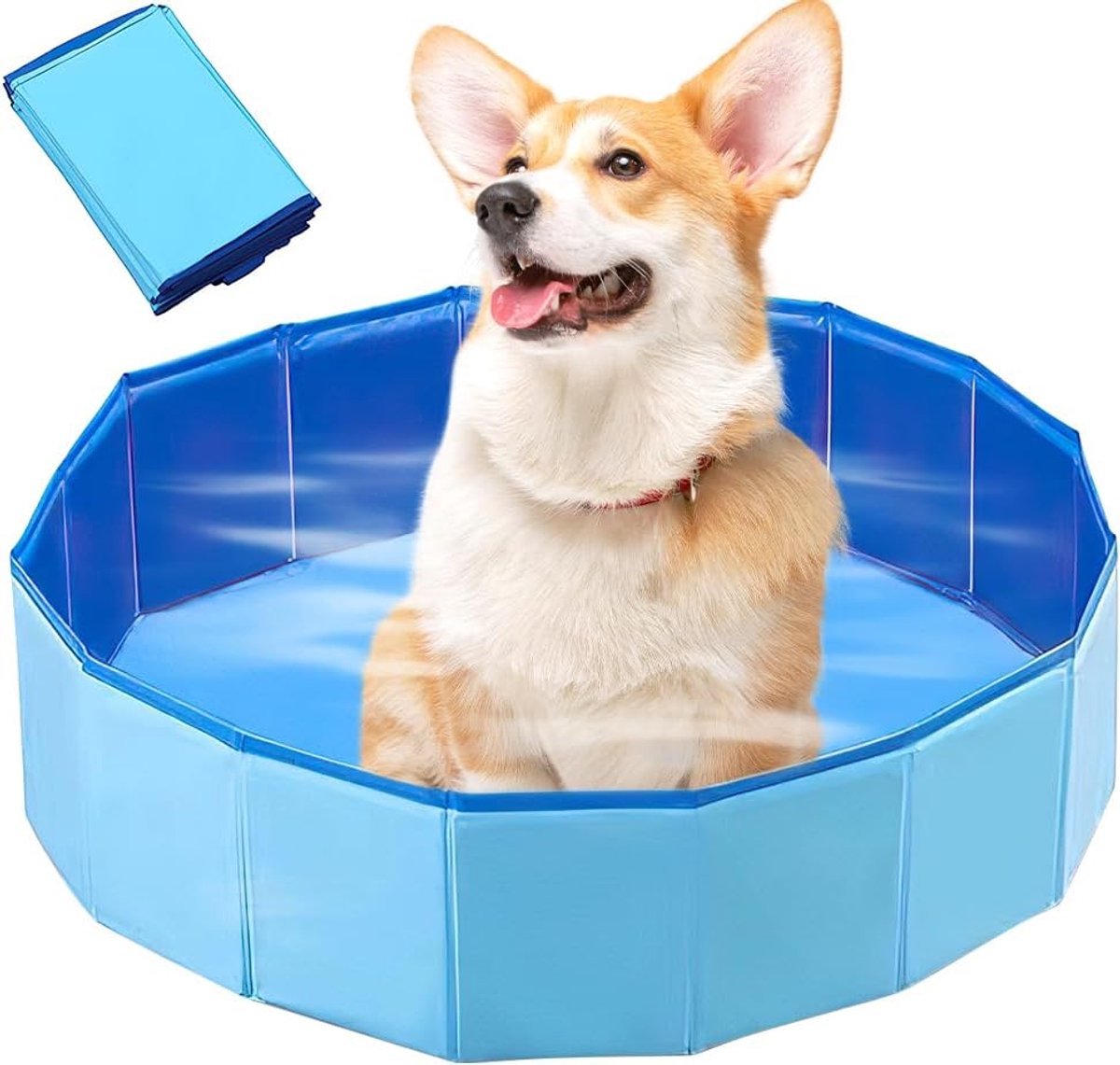Thijox - Hondenzwembad 60 x 20 cm met Afvoerventiel, Antislip, Blauw - Ideaal voor Honden en Katten, Perfect voor Zomer, Tuin, Binnen en Buiten