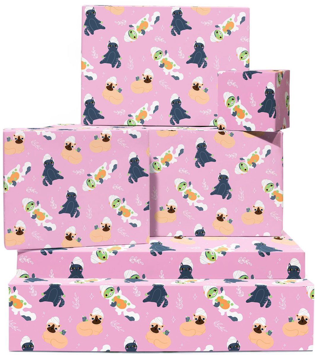 Omgoods - Cadeaupapier Set voor Kattenverjaardag met 6 Vellen Roze