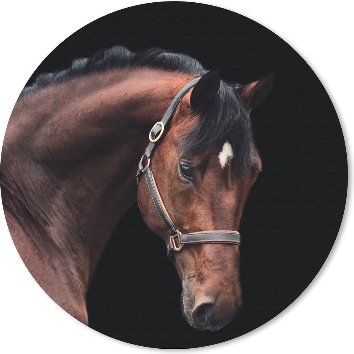 Muismat rond 20x20 cm - Mousepad Paard - Halster - Bruin - Ronde muismatten