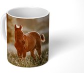 Mok - Koffiemok - Paard - Licht - Natuur - Mokken - 350 ML - Beker - Koffiemokken - Theemok