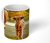 Mok - Schotse Hooglanders - Kalfje - Herfst - 350 ML - Beker