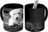 Magische Mok - Foto op Warmte Mok - Labrador puppy met deken - zwart wit - 350 ML