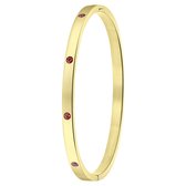 Lucardi - Dames Goldplated armband bangle geboortestenen - Staal - Armband - Cadeau - Stijlvol - Goudkleurig