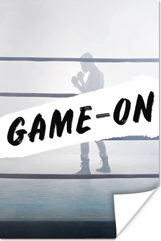 Affiche Citation Gants De Boxe De Boxe Boxe x30 Cm Bol Com