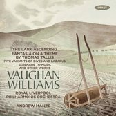 Royal Liverpool Philharmonic Orchestra, Andrew Manze - Vaughan Williams: Serenade to Music/ Dives and Lazarus/The Lark Ascending (CD)