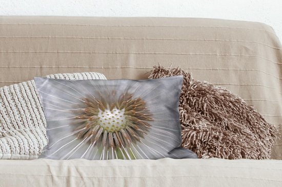 Sierkussen Graines de pissenlit pour usage intérieur - Il manque quelques graines de pissenlit - 50x30 cm - Coussin intérieur rectangulaire en coton