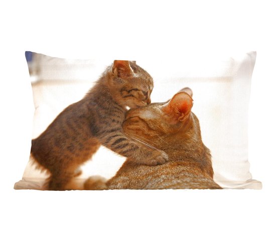 Sierkussens - Kussen - Kat knuffelend met kitten - 50x30 cm - Kussen van katoen