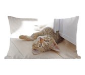 Sierkussen Chats' intérieur - Chaton jouant - 50x30 cm - Coussin intérieur rectangulaire en coton