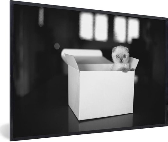 Fotolijst incl. Poster Zwart Wit- Kitten in doos – zwart wit – 60×40 cm – Posterlijst