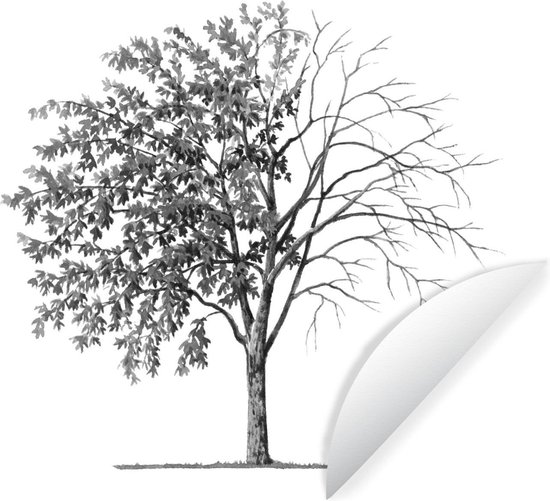 WallCircle - Muurstickers - Behangcirkel - Een illustratie van een goudenregen boom die bladeren verliest - zwart wit - ⌀ 120 cm - Muurcirkel - Zelfklevend - Ronde Behangsticker XXL