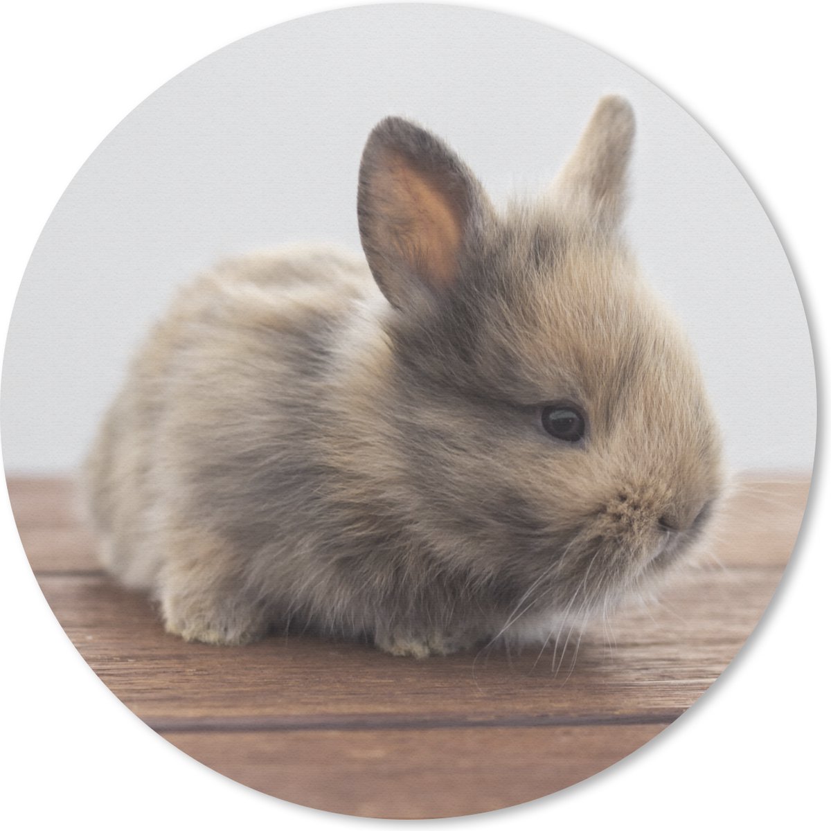 Muismat rond 40x40 cm - Mousepad Baby - Konijn - Hout - Ronde muismatten