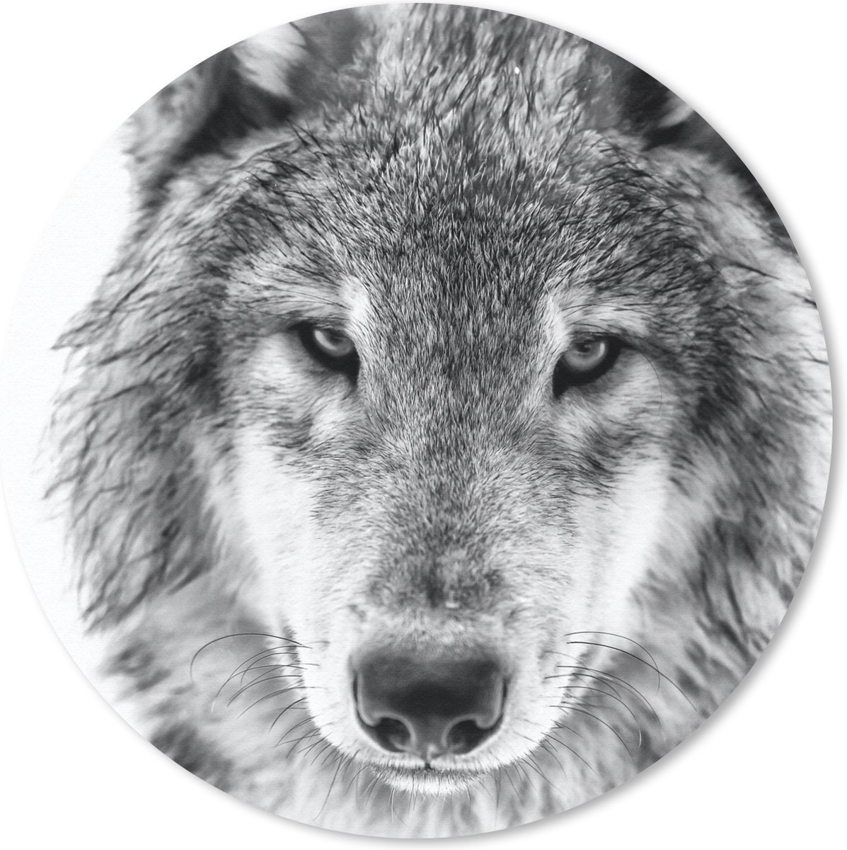 Muismat rond 20x20 cm - Mousepad Wolf in de winter in zwart-wit - Ronde muismatten