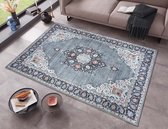 Perzisch tapijt Rana - grijs/meerkleurig 200x290 cm