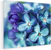 Artaza Glasschilderij - Blauwe Lila Bloemen - Seringen - 100x80 - Groot - Plexiglas Schilderij - Foto op Glas