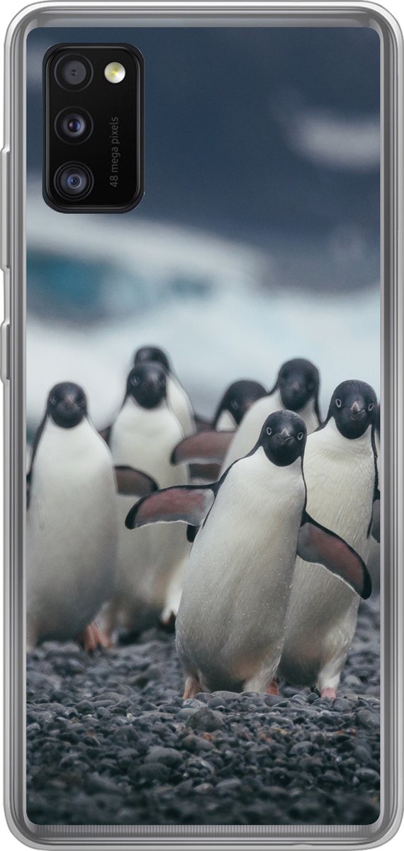 Telefoonhoesje Geschikt voor Samsung Galaxy A41 hoesje - Adelie pinguïns op het strand - Siliconen Telefoonhoesje Telefoonhoesje