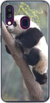 Geschikt voor Samsung Galaxy A40 hoesje - Panda - Dier - Boom - Siliconen Telefoonhoesje