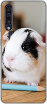 Convient pour la coque Samsung Galaxy A50 - Bébés cochons d'Inde mignons - Coque de téléphone en Siliconen