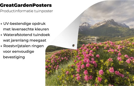 Posters de jardin Prairie fleurie - Montagnes - Rose - 50x50 cm - Toile jardin - Affiche extérieure