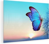 Artaza Glasschilderij - Blauwe Vlinder Bij Paardenbloemen  - 120x90 - Groot - Plexiglas Schilderij - Foto op Glas