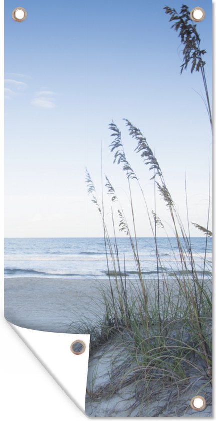 Foto: Tuinposter helmgras groeit in het zand op de duinen 30x60 cm tuindoek buitenposter