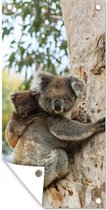 Wanddecoratie buiten Koala's - Kind - Boom - Kinderen - Jongens - Meiden - 80x160 cm - Tuindoek - Buitenposter
