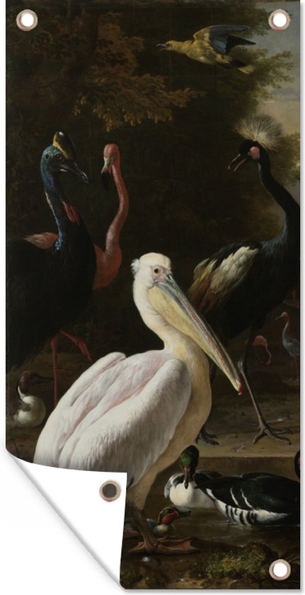 Schuttingposter Een pelikaan en ander gevogelte bij een waterbassin - Schilderij van Melchior d'Hondecoeter - 100x200 cm - Tuindoek