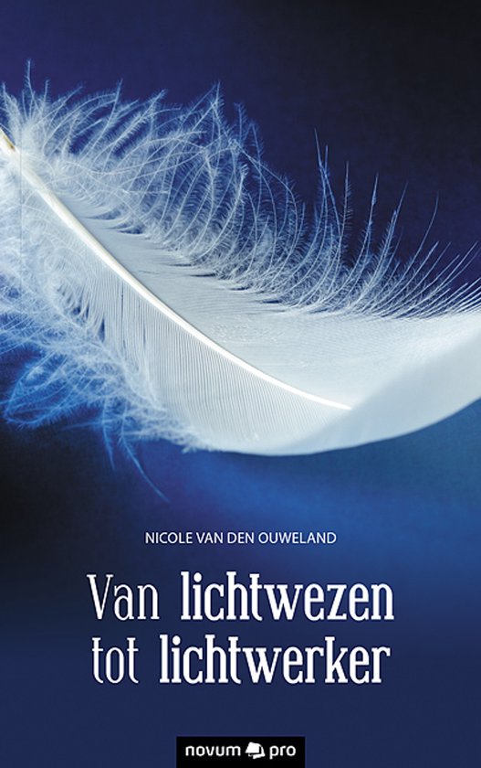 Van lichtwezen tot lichtwerker - cover