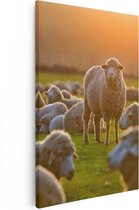 Artaza Canvas Schilderij Kudde Schapen bij Zonsondergang - 20x30 - Klein - Foto Op Canvas - Canvas Print