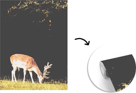 Papier peint - Papier peint photo Cerf - Nourriture - Herbe - Largeur 160 cm x hauteur 220 cm