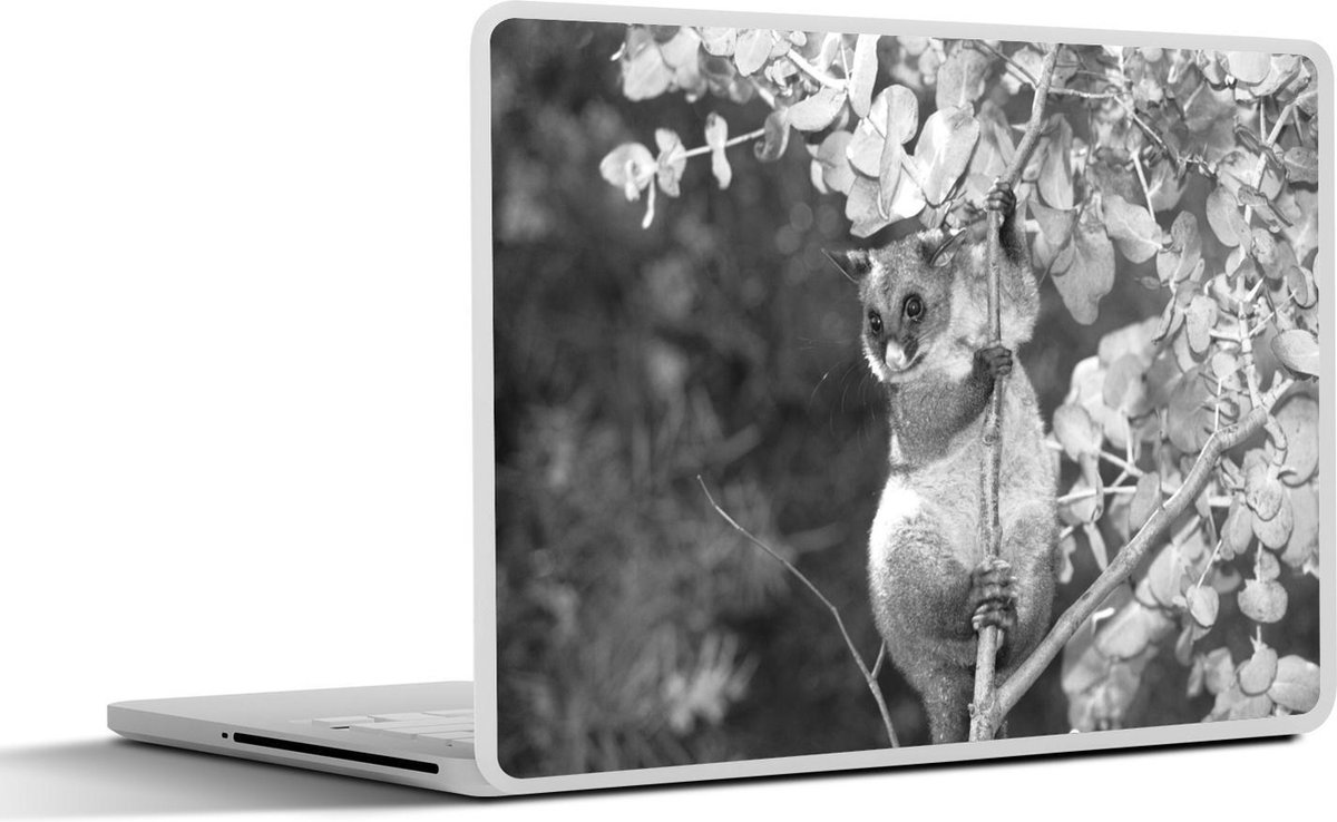 Afbeelding van product SleevesAndCases  Laptop sticker - 17.3 inch - Buidelrat zit in een boom - zwart wit