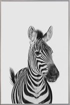 JUNIQE - Poster met kunststof lijst Zebra Classic -30x45 /Wit & Zwart