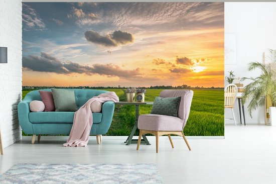 Papier peint Papier peint photo en vinyle - Coucher de soleil sur la campagne largeur 390 cm x hauteur 260 cm - Tirage photo sur papier peint (disponible en 7 tailles)