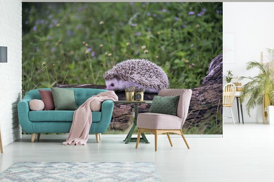 Papier peint photo peint photo vinyle - Hérisson sur souche d'arbre largeur 360 cm x hauteur 240 cm - Tirage photo sur papier peint (disponible en 7 tailles)
