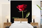 Behang - Fotobehang Een rode roos op een zwarte achtergrond - Breedte 195 cm x hoogte 260 cm